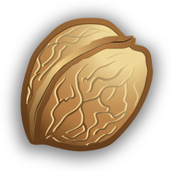 Walnut.svg