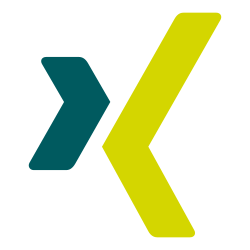 Xing icon.svg